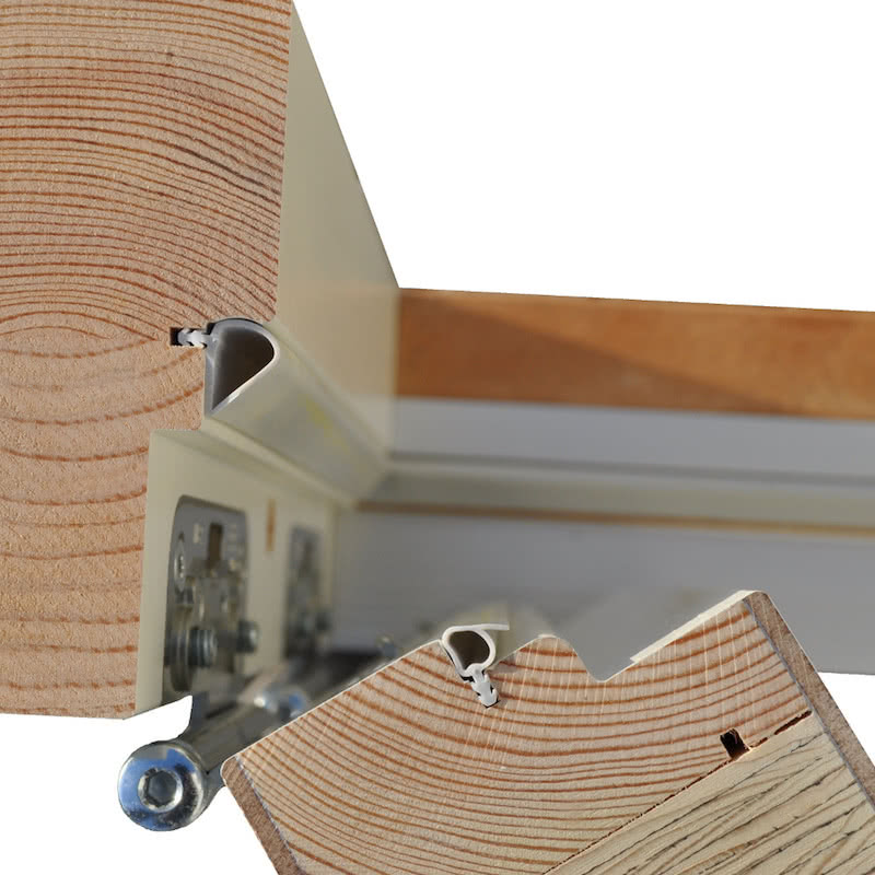 Katta dumbalarning havaskor suratlari